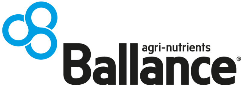 Ballance logo